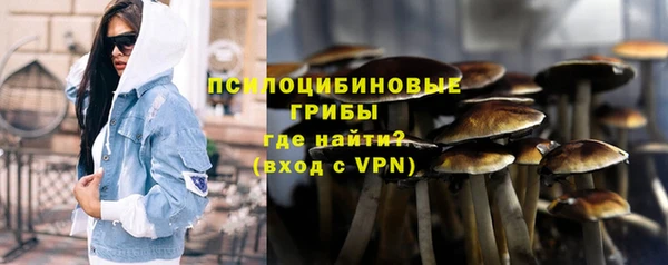 бошки Богородицк