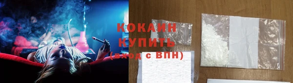 стаф Бородино