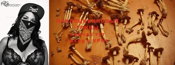 тгк Богородск