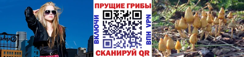 Псилоцибиновые грибы MAGIC MUSHROOMS  Арзамас 